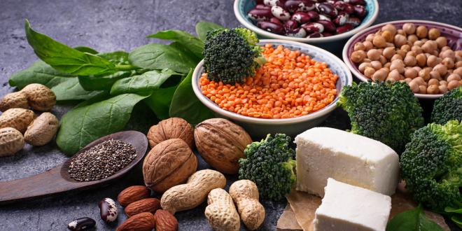 A variety of vegetarian foods high in protein content