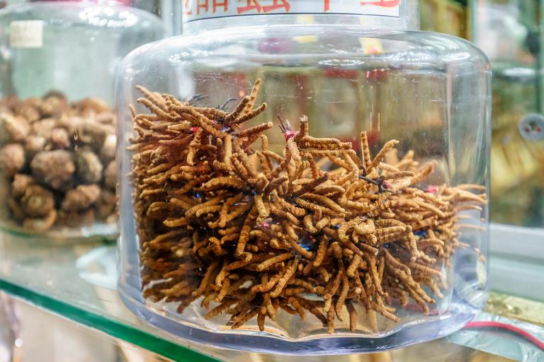 dried cordyceps and shiitake mushrooms in glass jars